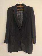 Jas Massimo Dutti, Kleding | Dames, Jassen | Winter, Ophalen of Verzenden, Zo goed als nieuw, Maat 38/40 (M), Blauw
