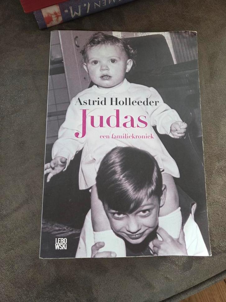 Astrid Holleeder - Judas, Boeken, Detectives, Zo goed als nieuw, Ophalen of Verzenden