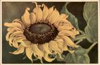 VHK, Jan Voerman, Zonnebloem, 1935, Verzamelen, Ansichtkaarten | Themakaarten, Verzenden, 1920 tot 1940, Ongelopen, Overige thema's