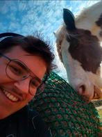 Gezocht: Paarden zonder ijzers / training opleiding, Ophalen of Verzenden