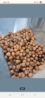 Verse Walnoten Rechtstreeks van de boom, Ophalen of Verzenden