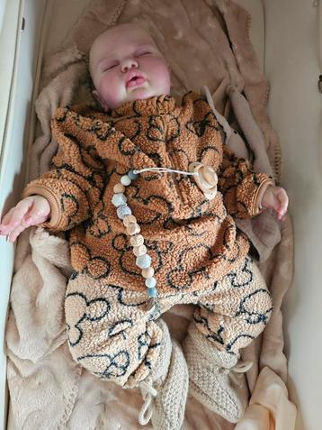 Grote jongen beschikbaar voor biedingen