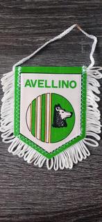 Voetbalvaantje Avellino