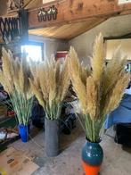 pampaspluimen pampas pluimen droogbloemen pampasgras, Ophalen, Nieuw