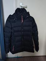 Tommy Hilfiger Winterjas Maat S, Tommy Hilfiger, Ophalen, Zo goed als nieuw, Maat 36 (S)