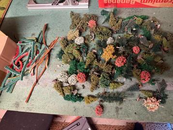 Doos bomen en heggen beschikbaar voor biedingen