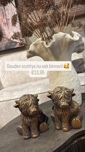 Scotty brynxz! Leuke woon accesoires beschikbaar voor biedingen
