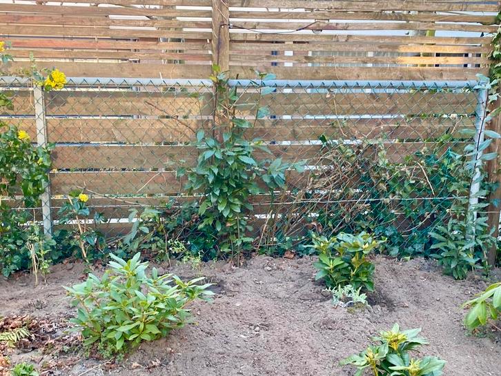 Heras hekwerk 25 meter – stevig spul, Tuin en Terras, Tuinhekken en Hekwerk, Gebruikt, Gaashekwerk, IJzer, Ophalen