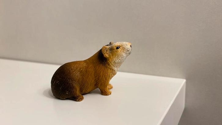 Schleich Cavia ~ 14417 13, Verzamelen, Dierenverzamelingen, Gebruikt, Beeldje of Figuurtje, Paard, Ophalen of Verzenden