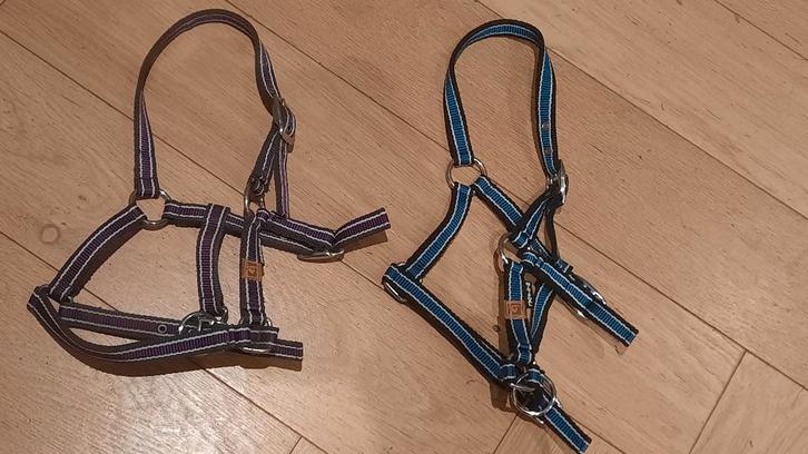 halster minifoal - 2 stuks, Dieren en Toebehoren, Paarden en Pony's | Hoofdstellen en Tuigage, Zo goed als nieuw, Overige soorten