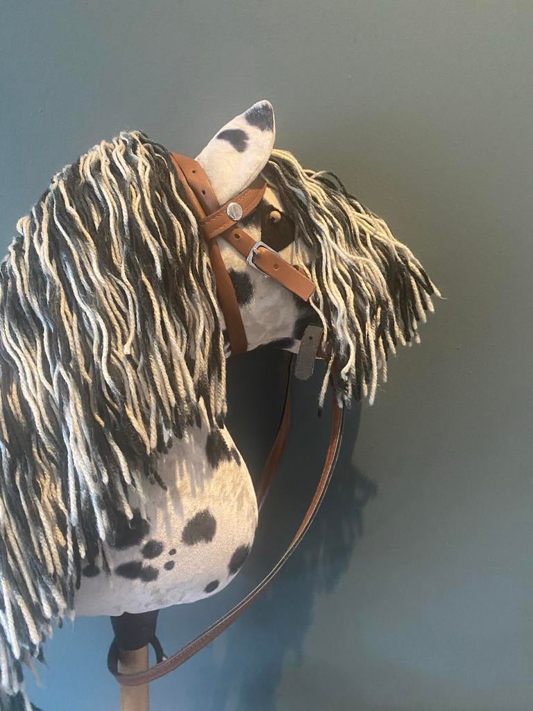 Stokpaard Schimmel met hoofdstel, halster en deken, Ophalen, Gebruikt, Jongen of Meisje