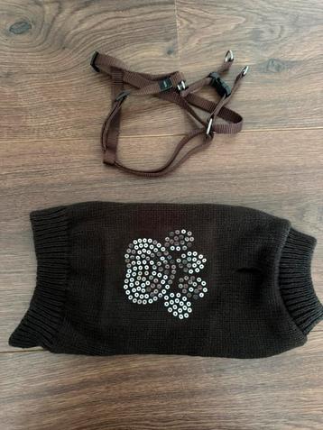 Puppy tuigje en puppy vestje XXXS beschikbaar voor biedingen