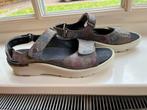 Wolky sandalen maat 39, Ophalen of Verzenden, Zo goed als nieuw, Overige kleuren, Sandalen of Muiltjes