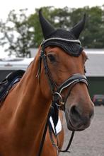 Gezocht verzorger /bijrijder, Dieren en Toebehoren, Ophalen of Verzenden, Nieuw