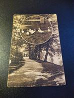 Ansichtkaart 's Gravenhage Idyle Haagsche Bosch, Ophalen of Verzenden, Voor 1920, Ongelopen, Zuid-Holland