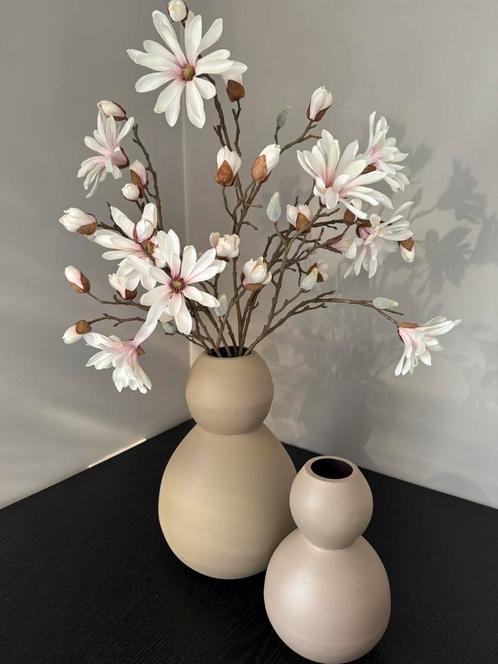 Nieuw! Set Colmore vazen incl magnolia takken, Huis en Inrichting, Woonaccessoires | Kunstplanten en Kunstbloemen, Nieuw, Ophalen of Verzenden