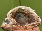 Versteend hout schijf plak dubbel gepolijst mineralen 1, Ophalen of Verzenden, Mineraal