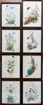 8 Ingelijste Litho's van Mila Lippmann Pawlowski, Antiek en Kunst, Kunst | Litho's en Zeefdrukken, Ophalen of Verzenden