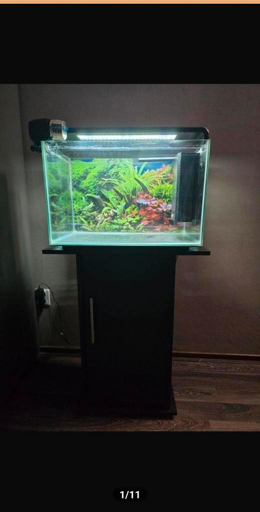 SuperFish Home 60 Aquarium Compleet, Dieren en Toebehoren, Vissen | Aquaria en Toebehoren, Leeg aquarium, Ophalen