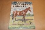 Vintage Boek Dieren Tekenen — Vacht Huid & Veren, Hobby en Vrije tijd, Tekenen, Gebruikt, -, -, Ophalen of Verzenden