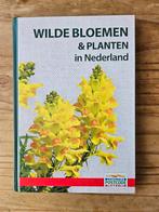 Wilde bloemen & planten in Nederland, Ophalen of Verzenden, Nieuw, Bloemen, Planten en Bomen