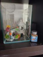Klein aquarium/vissenkom, Dieren en Toebehoren, Vissen | Aquaria en Toebehoren, Ophalen, Zo goed als nieuw, Leeg aquarium