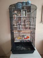 Vogelkooi, Dieren en Toebehoren, Vogels | Hokken en Kooien, Ophalen, Gebruikt, Metaal, Vogelkooi