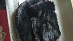 antieke mof, Antiek en Kunst, Antiek | Kleding en Accessoires, Ophalen of Verzenden, Dames