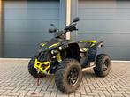 TGB Target 600 Quad - 2021 - 1770km, Motoren, Quads en Trikes, 1 cilinder, 12 t/m 35 kW