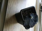 Begonia Black Mamba stek, Ophalen of Verzenden, Overige soorten, Minder dan 100 cm