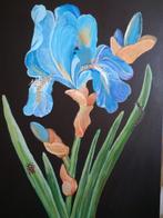 Schilderij Iris 50 x 70, Ophalen, Nieuw, Schilderij, 50 tot 75 cm