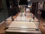 Hamsterkooi met attributen/accessoires, Ophalen, Gebruikt, Overige typen