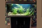 AQUARIUM TROFIS PUNTIUS 1200, Ophalen of Verzenden, Gebruikt, Leeg aquarium