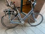 Elektrische fiets met nieuw display - opknapper, Ophalen, Gebruikt, Sparta