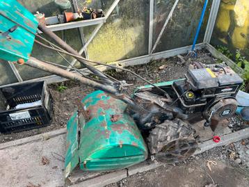 Weed Eater 17" Benzine tuinfrees 5 pk b&s motor beschikbaar voor biedingen