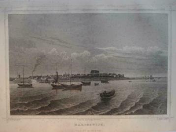 115  / Hardewijk   Staalgravure 1860 beschikbaar voor biedingen