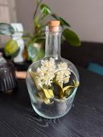 Glas vaas terrarium/stolp met 3 hyacinten (kunst), Ophalen of Verzenden