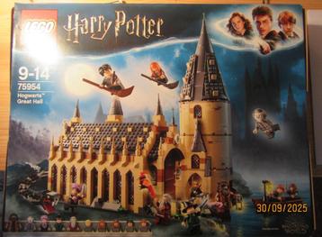 Lego 75954 Harry Potter Grote Zaal op Zweinstein beschikbaar voor biedingen