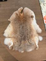 Bontje voor decoratie, Minder dan 50 cm, Gebruikt, Wit, Ophalen of Verzenden