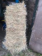 Hooi te koop, Dieren en Toebehoren, Dierenvoeding, Ophalen of Verzenden, Vee