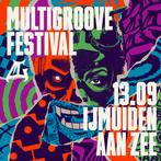 2 x Multigroove festival ticket te koop Celebratix, Tickets en Kaartjes