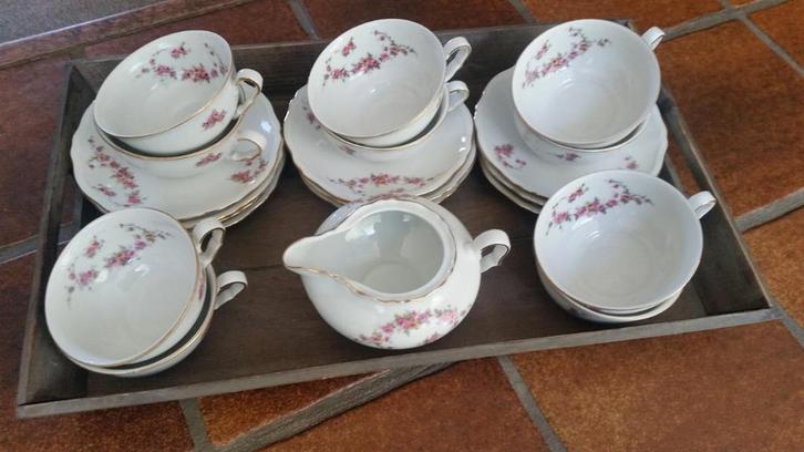 Servies met dienblad, Huis en Inrichting, Keuken | Servies, Zo goed als nieuw, Kop(pen) en/of Schotel(s), Overige stijlen, Overige materialen