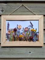 Schilderijtje met Droogbloemen, Niet van toepassing, Handgemaakt, Niet van toepassing, Ophalen of Verzenden