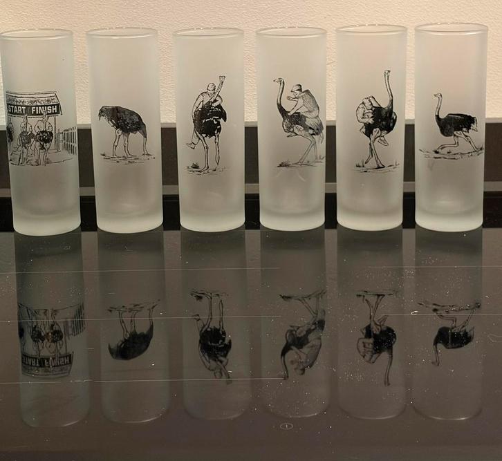 Vintage frosted tumblers high ball glazne struisvogel FG, Antiek en Kunst, Antiek | Glas en Kristal, Ophalen of Verzenden