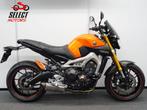 YAMAHA MT 09  MT-09 (bj 2014), Motorrijbewijs A, Naked bike