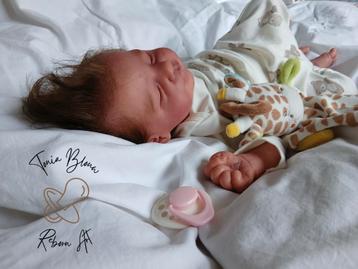 Laurie van Cassie Ann Love ️ beschikbaar voor biedingen