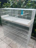 Italanse kweek kooien, Minder dan 60 cm, Kooi, 110 cm of meer, Ophalen of Verzenden