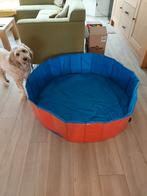 Honden speelgoed BALLENBAK, Ophalen, Zo goed als nieuw, Overig speelgoed