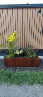 cortenstaal plantenbak 165x100x50, Ophalen, 100 cm of meer, Nieuw, Metaal