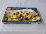 LEGO 76395 Harry Potter - Hogwarts First Flying Lesson NIEUW, Kinderen en Baby's, Speelgoed | Duplo en Lego, Ophalen of Verzenden